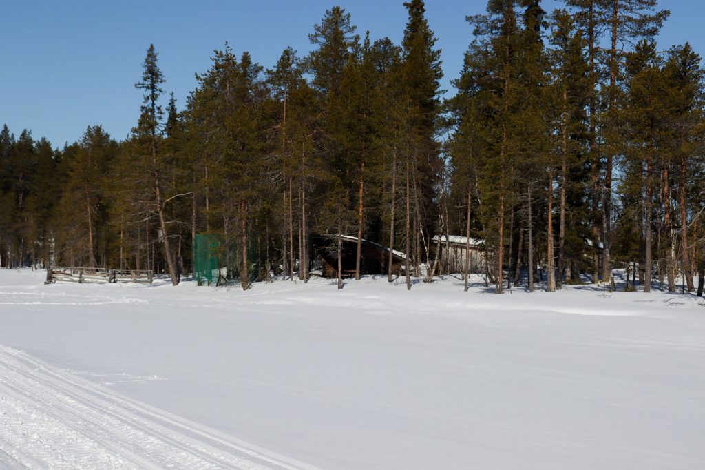 Harjujärven laavu 1